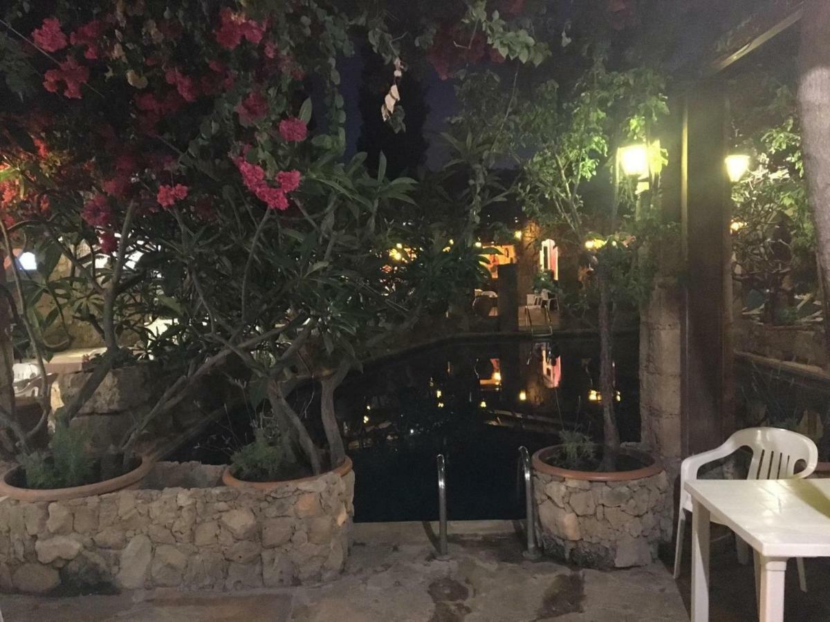 Roman Park Paphos